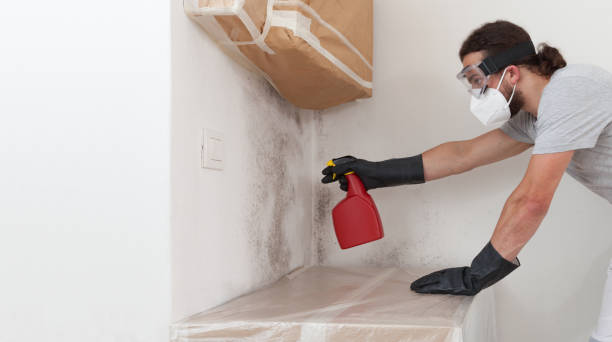 Professional Attic Mold Removal technician working in Cranbury, NJ
