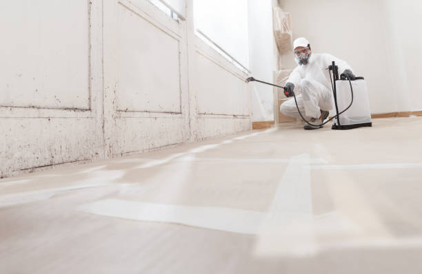 24/7 Emergency Attic Mold Removal experts in Cranbury, NJ