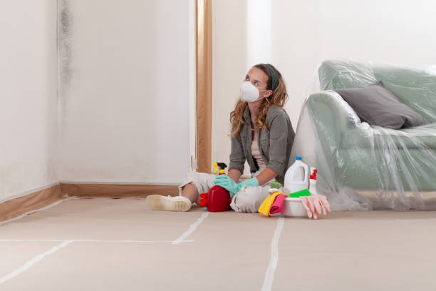 Reliable Attic Mold Removal contractor in Cranbury, NJ by WQB Mold Removal