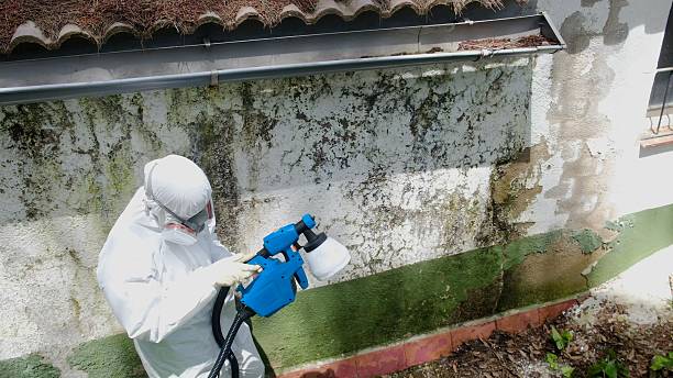 Top rated local Attic Mold Removal specialists in Cranbury, NJ
